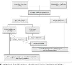 Benign (not cancer) malignant (cancer) borderline (somewhere between benign and. Pdf Phyllodes Tumour Of The Breast And Margins How Much Is Enough Semantic Scholar