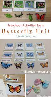 Classroom Ideas For A Butterfly Unit Montessori Activities Preschool Activities Preschool Themes