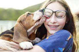 Maybe you would like to learn more about one of these? The 10 Best Pet Med Stores For 2021 Free Buyers Guide