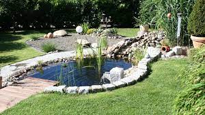 Weitere ideen zu gartenteich, teich, garten. Gartenteich Anlegen Bepflanzen Pflegen Schoner Wohnen