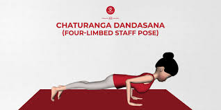 How To Do Chaturanga Dandasana And Benefits Chaturanga Dandasana