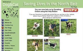 Newcastle Dog And Cat Shelter Newcastle Pet Rescue And Animal Welfare Groups On Adoptable Co Uk