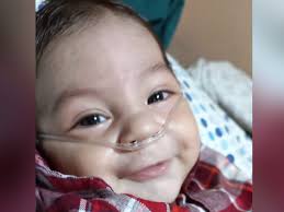 Salud reporta más de mil casos de dengue en la capital