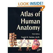 Atlas Of Human Anatomy Third Edition Frank H Netter Md 9781929007110 Amazon Com Books Human Anatomy Anatomy Gross Anatomy
