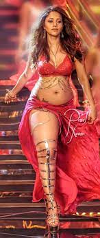 Nushrat Bharucha : rfaptodesiactress
