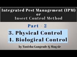 Integrated pest management control tactics. Integrated Pest Management Part 2 Physical Control Method Biological Control Method Ipm Youtube