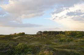 Und jedes mal waren die jungen menschen sehr begeistert. Die Insel Baltrum Dunen Natur