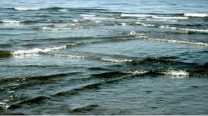 20% coupon applied at checkout save 20% with coupon. Have You Seen Square Waves On The Sea Tour Guide Run Quickly When You See It Otherwise It Will Threaten Your Life Infnews