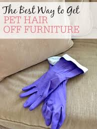 The Best Way To Get Pet Hair Off Furniture Cleaning Pet Hair Dog Hair Removal Pet Hair