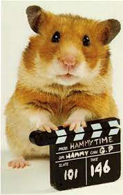 Hamster free movies