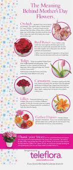 Maybe you would like to learn more about one of these? Mother Day Celebrations With Family Friends
