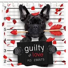 Valentine Day Bulldog Dog With Cupid S Arrow Roseleaf Guilty Of Love Bathroom Shower Curtain 66x72 Inch Happy Valentines Day Pictures Valentines Day Memes Happy Valentines Day Images Registrations are open for valentine's day.