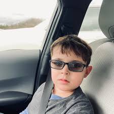 We are looking to buy in the Bay. Has anyone had a large tree removed from  their yard? Around how much did it cost? Has anyone recently had a raised  Florida room