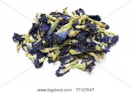 Tog, lower, nciku, flower, cape fenc, rhino soak, flower pot, dried pepper. Bunga Telang Images Illustrations Vectors Free Bigstock