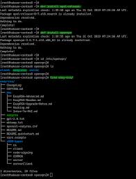 Icymi How To Install Openvpn Server And Client With Easy Rsa 3 On Centos 8 Port Forwarding Installation Marketing Software
