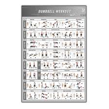 Barbell Workout Bodybuilding Guide Fitness Gym Chart Art