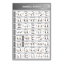 barbell workout bodybuilding guide fitness gym chart art