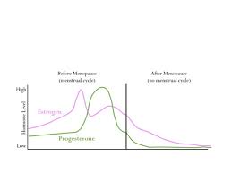 Estrogen And Progesterone Beyond Reproduction Psychology