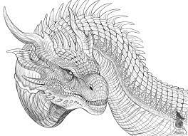 You can also see skull drawings templates. Sk H Dragon Drawing Ideas Novocom Top