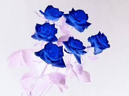 Pin By Brian Mohs On Bm Roses Rose Art Blue Rose Meaning Blue Roses