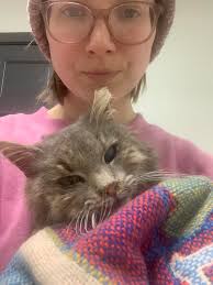 EUTH COMMAR, WHO WAS WIGGLY AND HAPPY UPON COMING TO THE SHELTER IS BEING  CRUSHED WITH SADNESS FROM WHAT HE'S GOING THROUGH IN THE SHELTER AND WILL  SOON LOSE Her