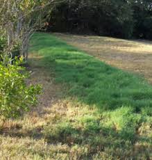 Locating the septic tank on a property helps you take care of the system and avoid any activities above it that could damage the system. How Can I Find My Drainfield Van Delden