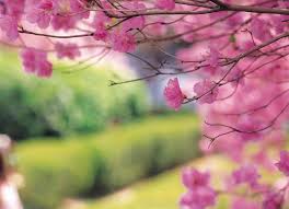 Obituary Johnnie Fae Hartman Of Jacksonville Florida Arlington Park Funeral Home