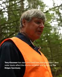 Sparrows, often dismissed as little brown jobs that are hard to identify,  are actually quite handsome and distinctive upon closer inspection. One  such species is the White-crowned Sparrow, with bold black-and-white stripes