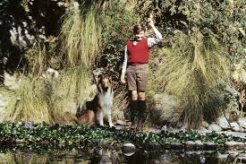 Jul 02, 2021 · pet advice, rescue dogs: 30 Best Animal Movies To Watch As A Family