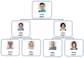 how to create family tree diagrams with org chart software