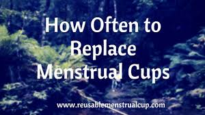 Buy tickets for jennie lena concerts near you. How Often To Replace Menstrual Cups How Long A Menstrual Cup Lasts Menstrual Cup Menstrual Diva Cup