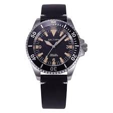 Image result for diving watch