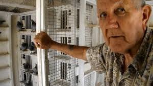 Lifelong Pigeon Fancier Ross Allenbaugh Serious Pigeon Talk