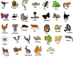 Forum Learn English If You Were Not A Human Which Animal Would You Like To Be Learn English Animals English Fun