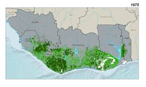 But i just thought you'd like some suggestions from someone who lives there. The Deforestation Of The Upper Guinean Forest West Africa