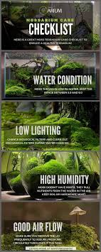 Mossarium Complete Care Guide How To Build Moss Terreriums Moss Terrarium Terrarium Plants Moss Garden
