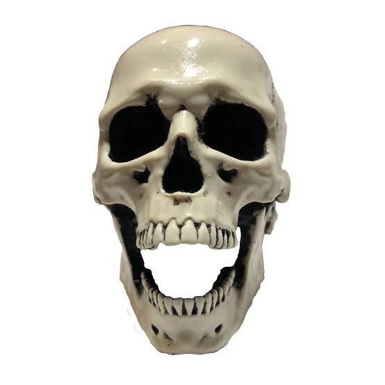 Screaming Skull Shift Knob – BawdyPartz