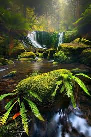 Horseshoe Falls In Mt Field National Park Tasmania Nature Photography Beautiful Landscapes Waterfall