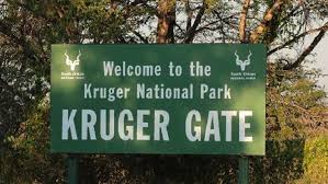 Tripadvisor has 69,388 reviews of kruger national park hotels the largest game reserve in south africa, kruger national park is basically a synonym for the word. Kruger National Park Urges Locals To Visit The Park Sabc News Breaking News Special Reports World Business Sport Coverage Of All South African Current Events Africa S News Leader