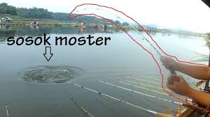 Ini Lah Sosok Monster Cirata Youtube