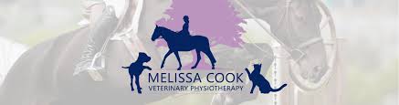 At its most basic, cooking means applying heat to food. Canine And Feline Melissa Cook Veterinary Physiotherapy