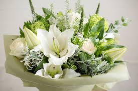 We did not find results for: Tiger Lily Flowers Home Facebook