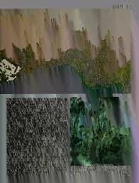 Image result for Sterculia subviolacea