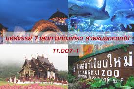 เที่ยวเชียงใหม่ช่วงหน้าหนาว สิ่งแรกที่เรานึกถึงก็คือ ไปชมดอกพญาเสือโคร่ง หรือซากุระเมืองไทย ขึ้นดอยไปชมทะเลหมอกงามๆ นาขั้นบันไดแจ่มๆ. à¸— à¹€à¸— à¸¢à¸§à¹€à¸Š à¸¢à¸‡à¹ƒà¸«à¸¡ Com à¸«à¸™ à¸²à¸«à¸¥ à¸ Facebook