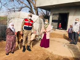 12:45 adıyaman'da kaçak kazı yapan 5 kişi suçüstü yakalandı. Qvc Qpl0d2xpxm