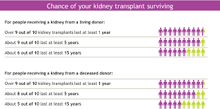 Depending on the nature and the hospital, you can take a test for as low as n1, 000 or as high as n50, 000. Kidney Transplants In Adpkd