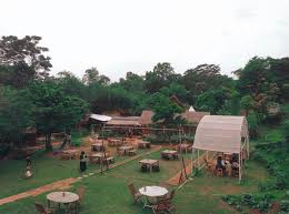 Maybe you would like to learn more about one of these? Tangsel Info Suasana Taman Konservasi Rimbun Salah Satu Facebook