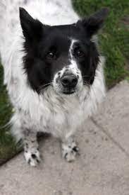 Pin On My Favorite Things