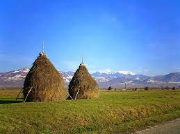 The Art Of The Romanian Haystack ~ Kuriositas