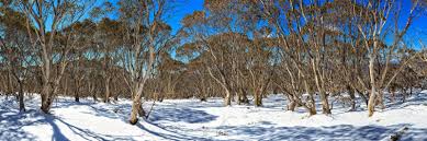Hier markiert dieses ereignis zugleich den kürzesten tag und die längste nacht 2021. Die Australischen Alpen Ski Fahren In Australien